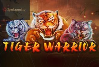 Tiger Warrior